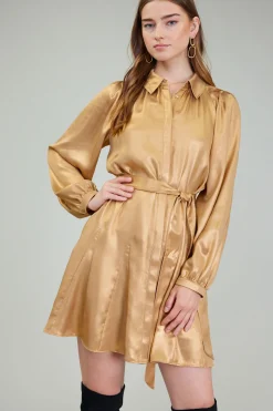 Sale Carmel Metallic Mini Dress Women Mini Dresses