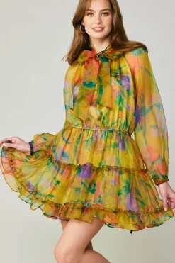 Clearance Floral Organza Mini Dress Women Mini Dresses