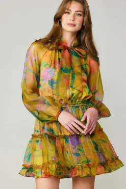 Clearance Floral Organza Mini Dress Women Mini Dresses