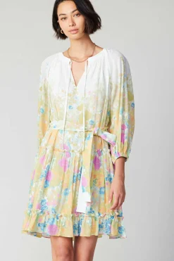 Clearance Gradient Floral Motif Mini Dress Women Mini Dresses