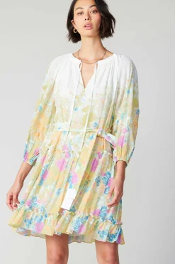 Clearance Gradient Floral Motif Mini Dress Women Mini Dresses