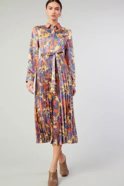 Discount Paisley Pleated Maxi Dress Women Maxi Dresses