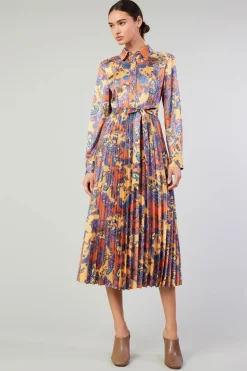 Discount Paisley Pleated Maxi Dress Women Maxi Dresses