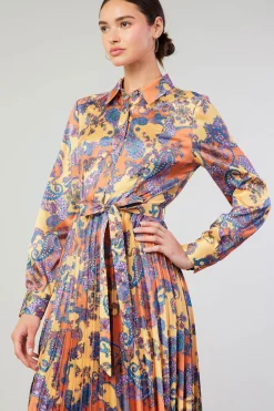 Discount Paisley Pleated Maxi Dress Women Maxi Dresses