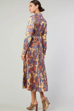 Discount Paisley Pleated Maxi Dress Women Maxi Dresses
