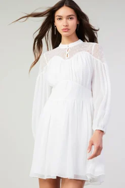 Online Palermo Lace Collared Mini Dress Women Mini Dresses