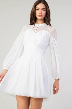 Online Palermo Lace Collared Mini Dress Women Mini Dresses