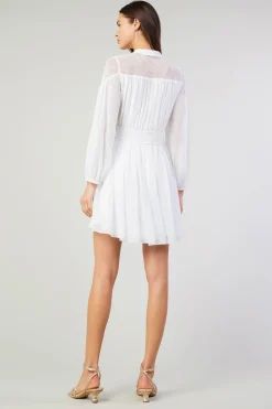 Online Palermo Lace Collared Mini Dress Women Mini Dresses