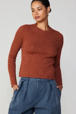 Fashion Scalloped Knit Top Women Long Sleeve Tops | Sweaters