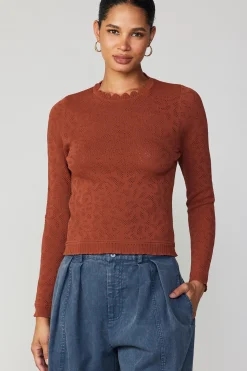 Fashion Scalloped Knit Top Women Long Sleeve Tops | Sweaters