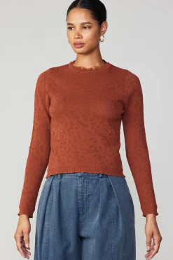 Fashion Scalloped Knit Top Women Long Sleeve Tops | Sweaters
